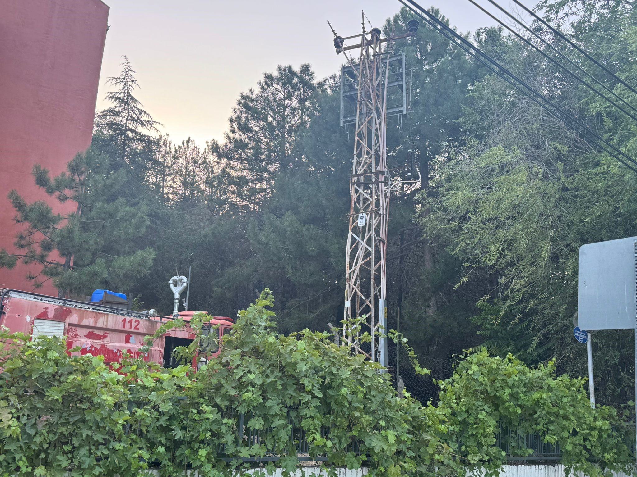 Eğirdirde Sincap (1)