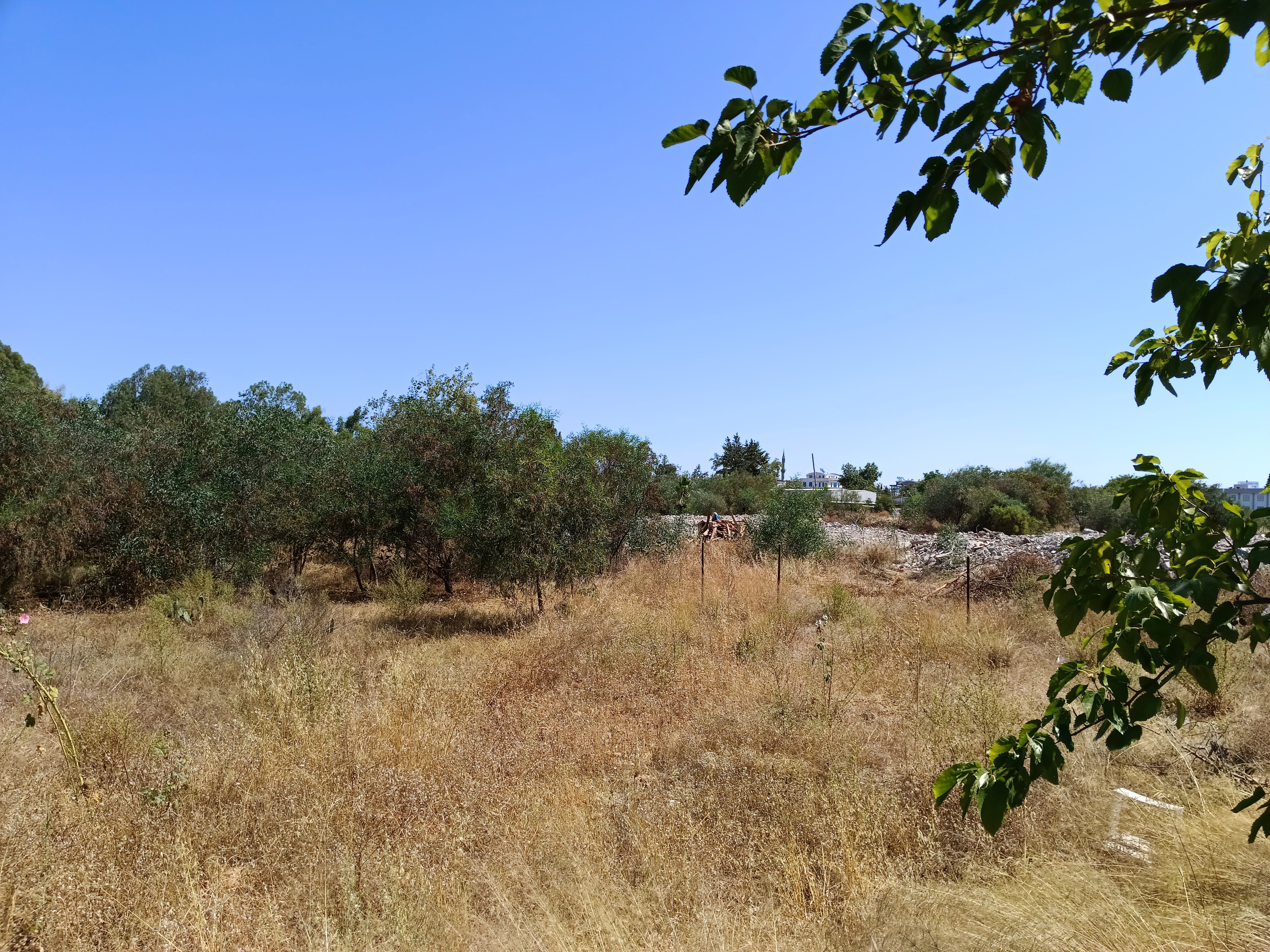 Gecekondu Sorunu (1)