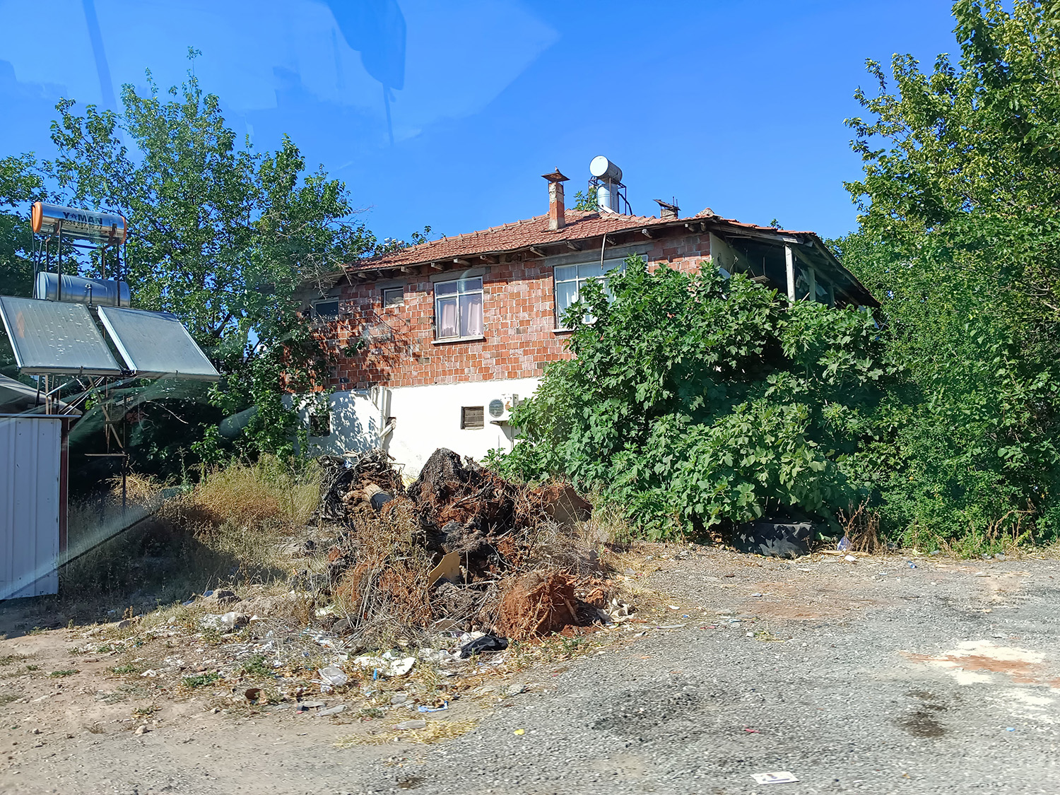 Gene Kondu Sorunu (4)