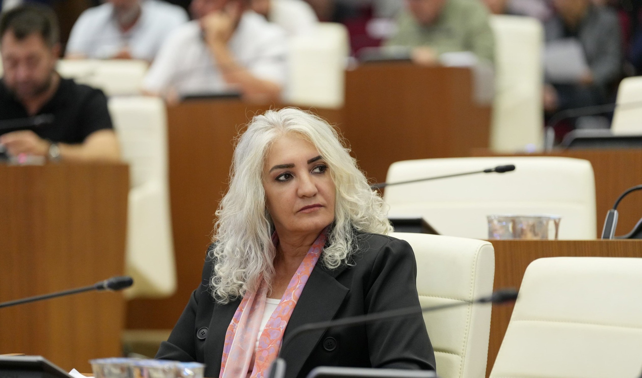 Gulen Ercan