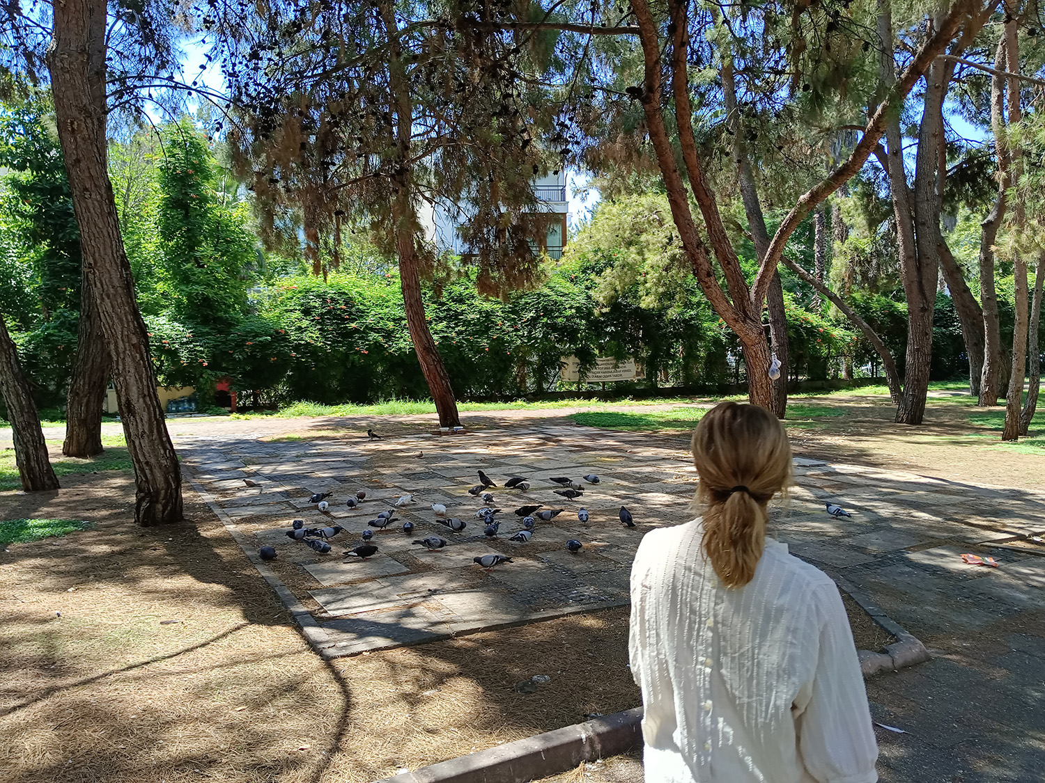 Gursu Mah Guvercin Park