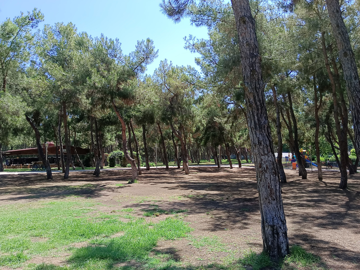 Hayatpark Spor Aktivite