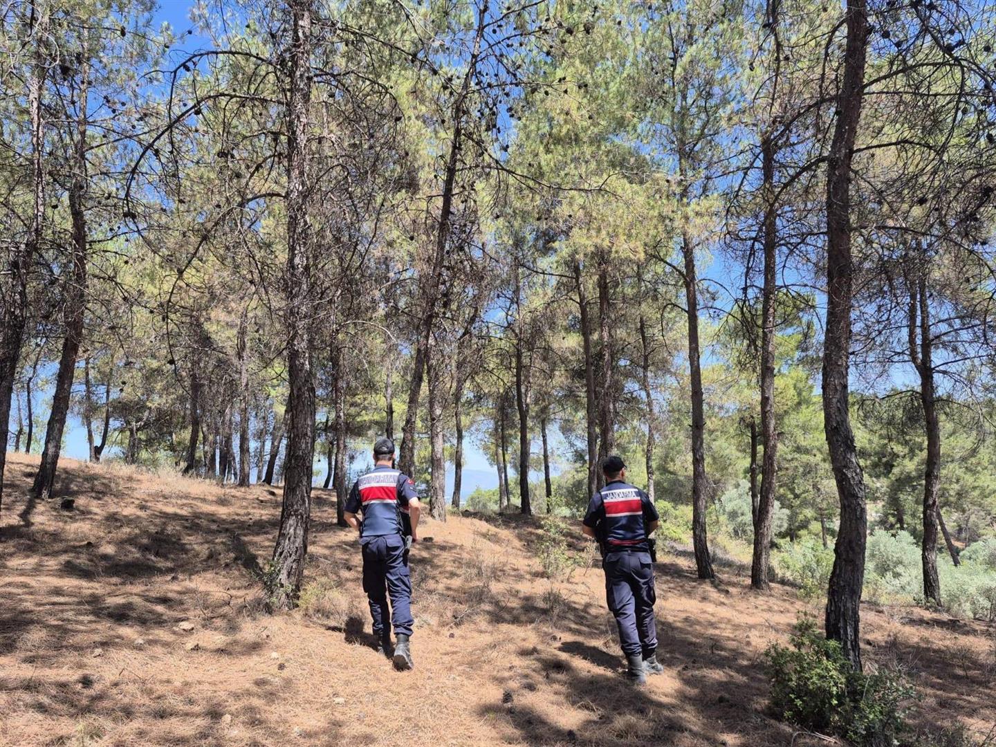 Jandarmanın ‘Orman’ Nöbeti Aralıksız Devam Ediyor (1) (Large)