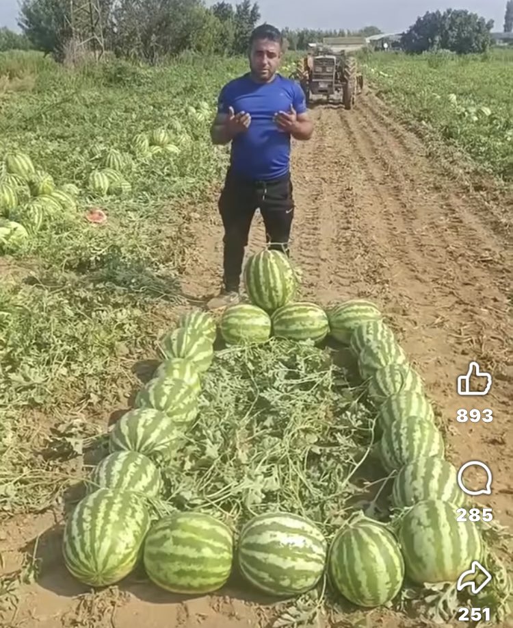 Karpuz Üreticisi 1