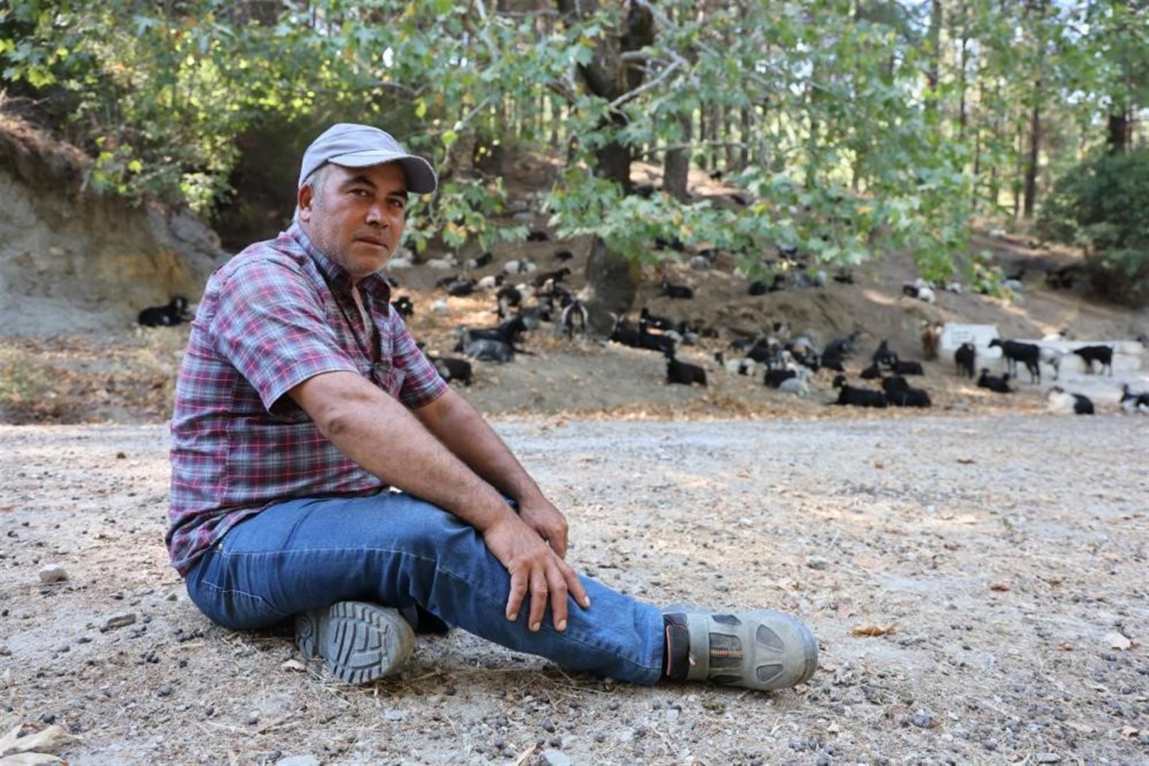 Koyun, Keçi Ve Çobanların Kıymeti Bilinmedi, Ülkenin En Büyük Sorunu Yangınlar Oldu (4) (Large)
