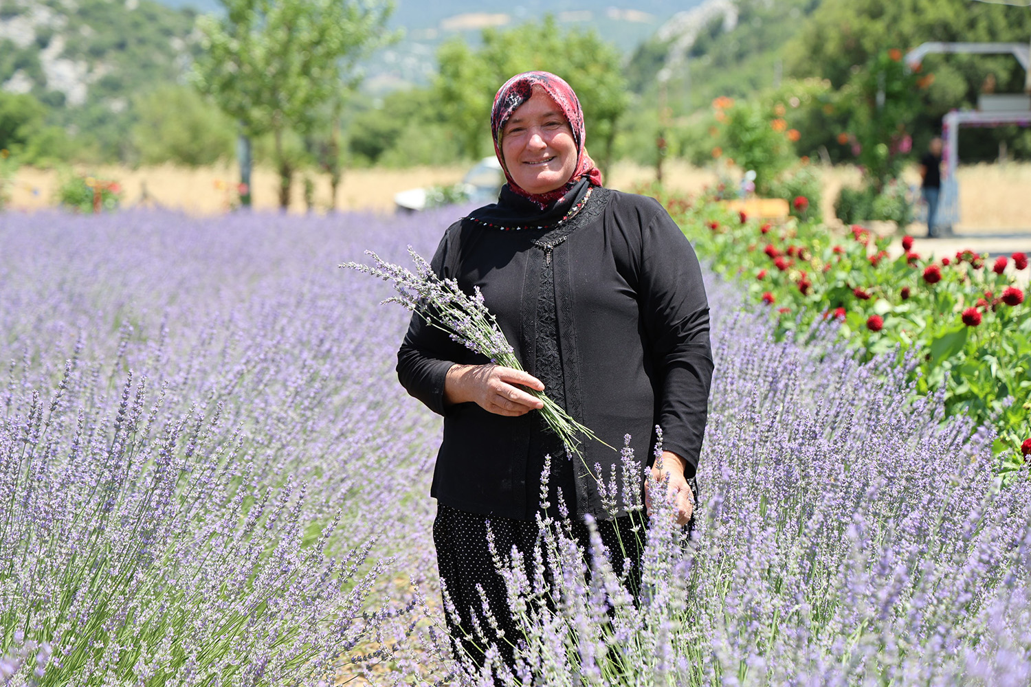 Lavanta Kokulu Hanımağalar (2)