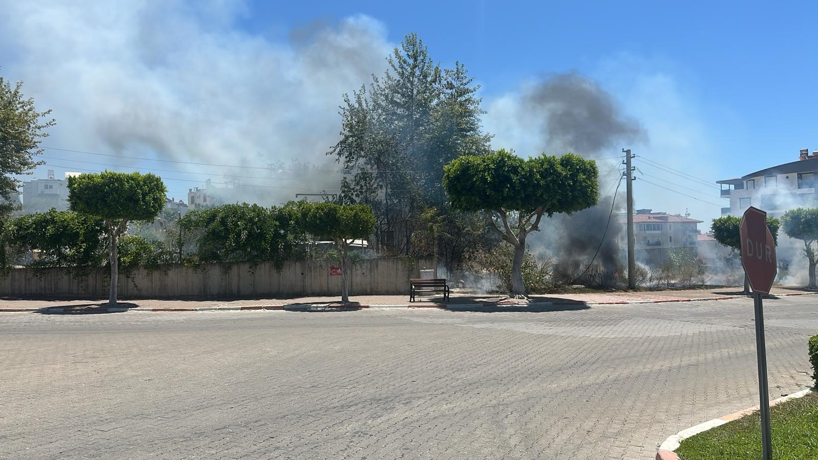 Manavgat'ta Çıkan Çalılık Yangını