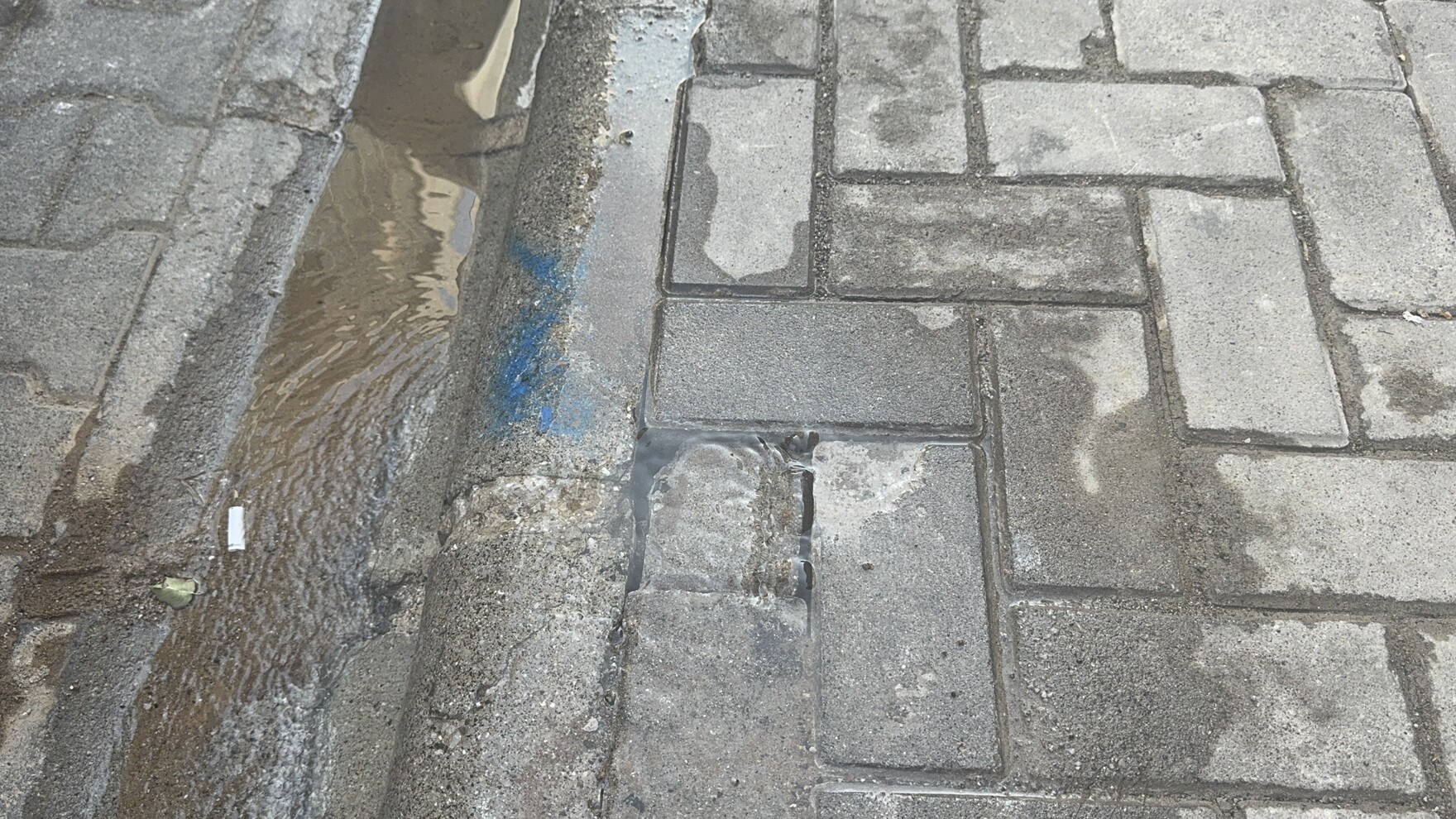 Marmariste 5 Gundur Su Bosa Akiyor (3)