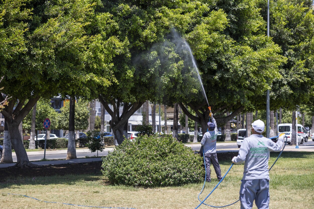 Mersin'de Yaz Boyunca Kesintisiz Ilaçlama (2)