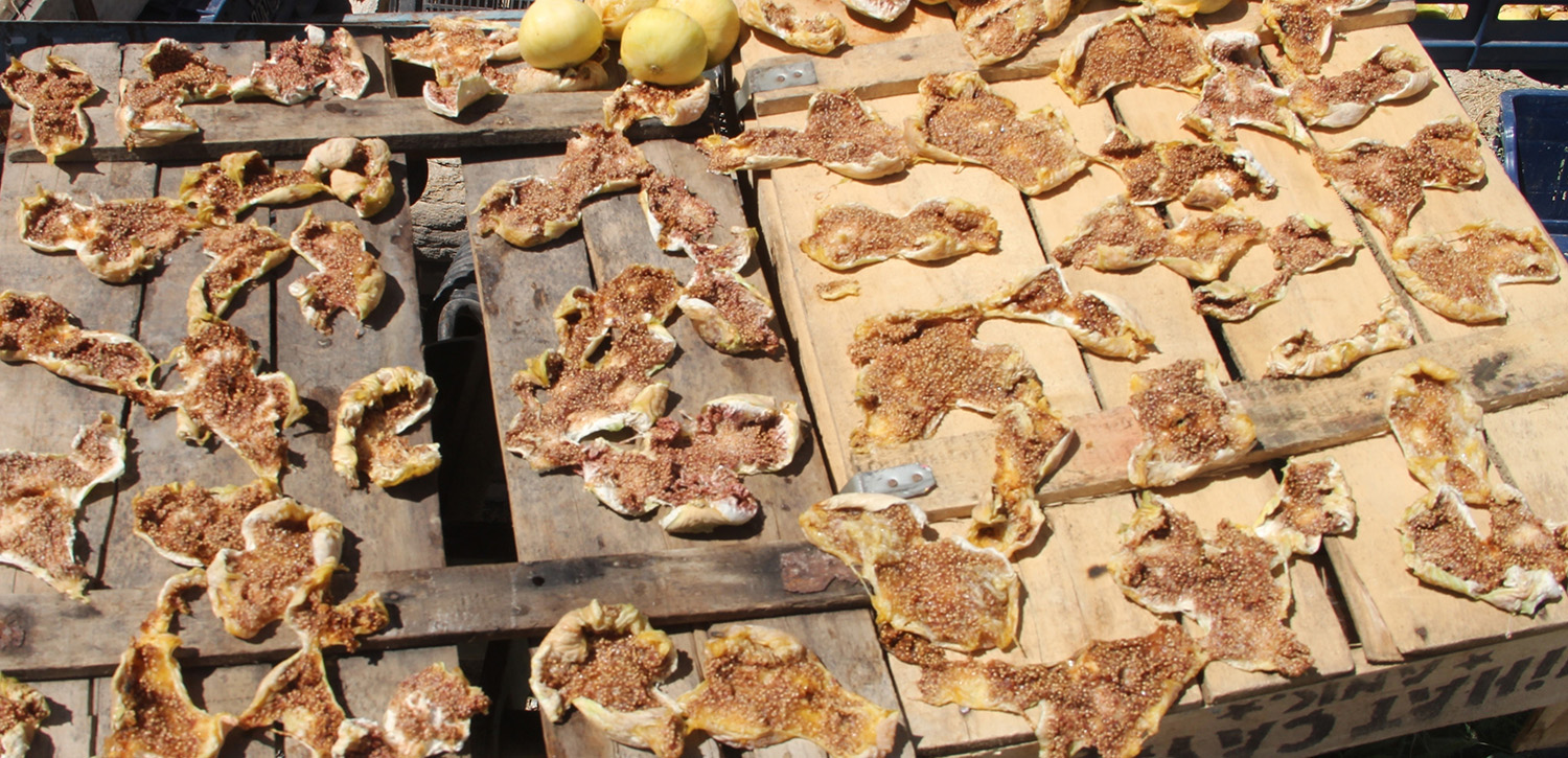 Mersin’in Mut Ilçesinde Ilk Hasatta Kilosu 200 Liradan Alıcı Bulan Beyaz Incirin Şu An Kilosunun 150 Liradan, Kuru Incirin Kilosunun Ise Bin 500 Liradan Satılması Üreticiyi