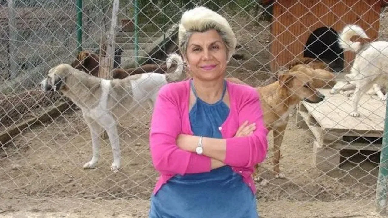 Nesrin Çıtırık Nerelidir