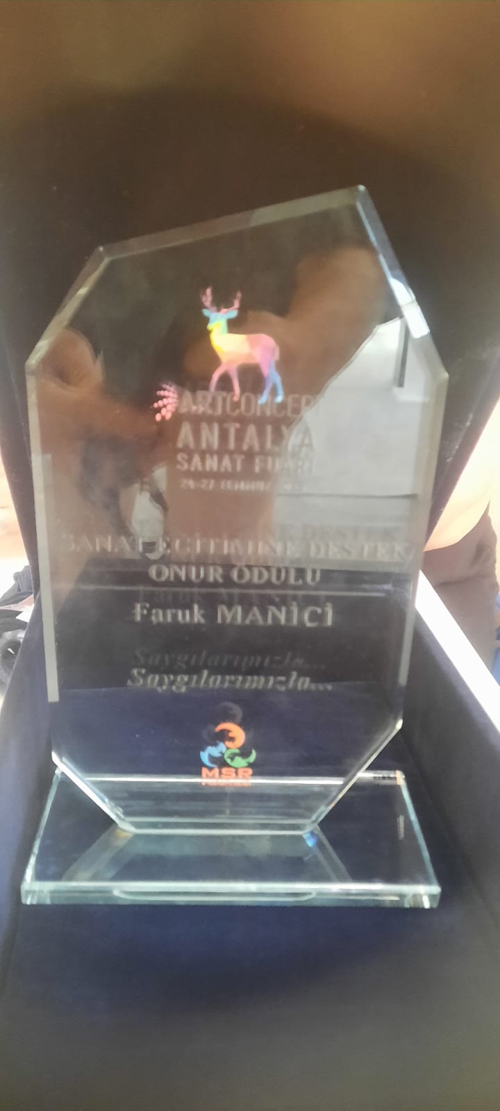 Ödül Sanatçı (3)