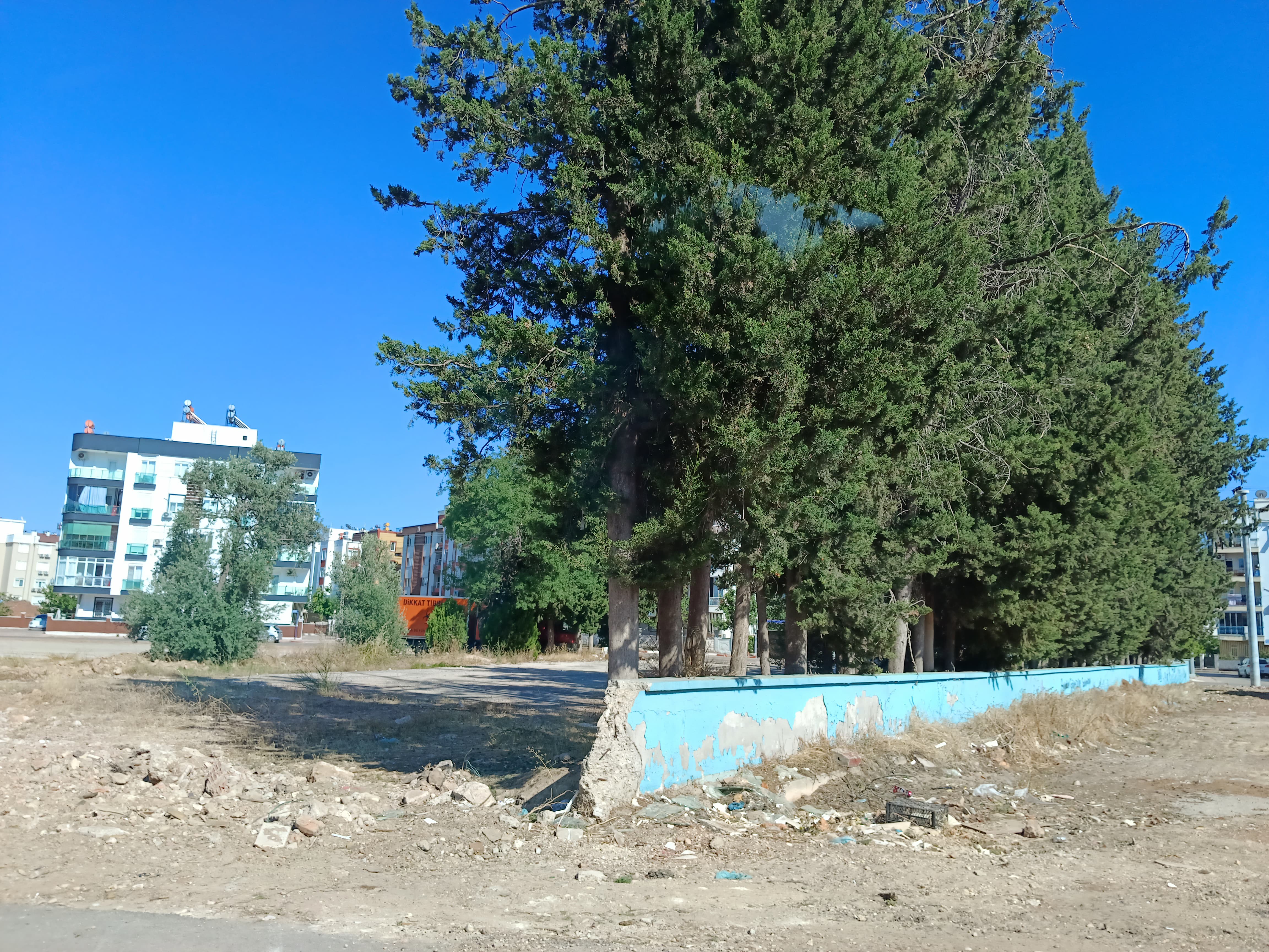 Okul Sorunu