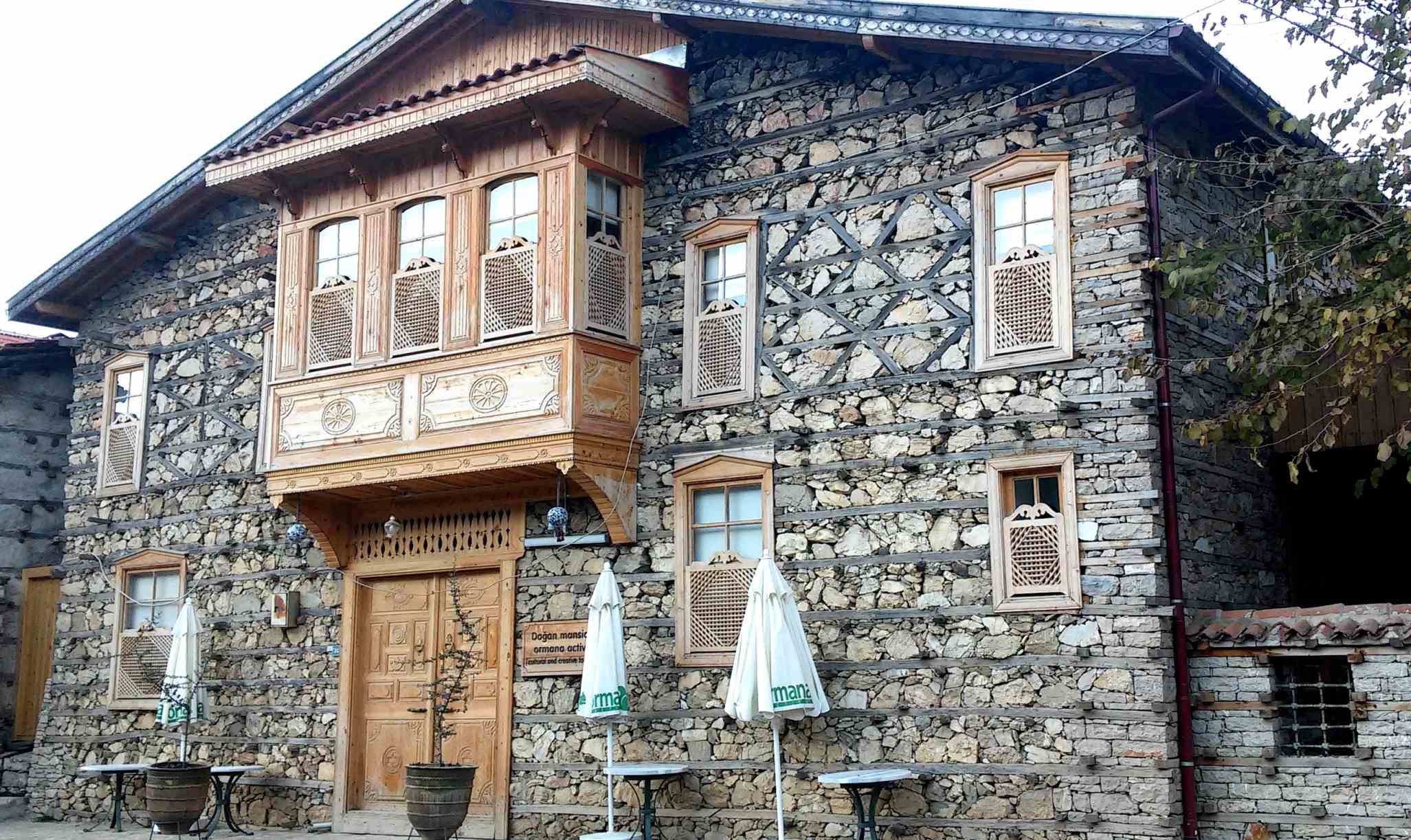 Ormana Nerede Bulunuyor