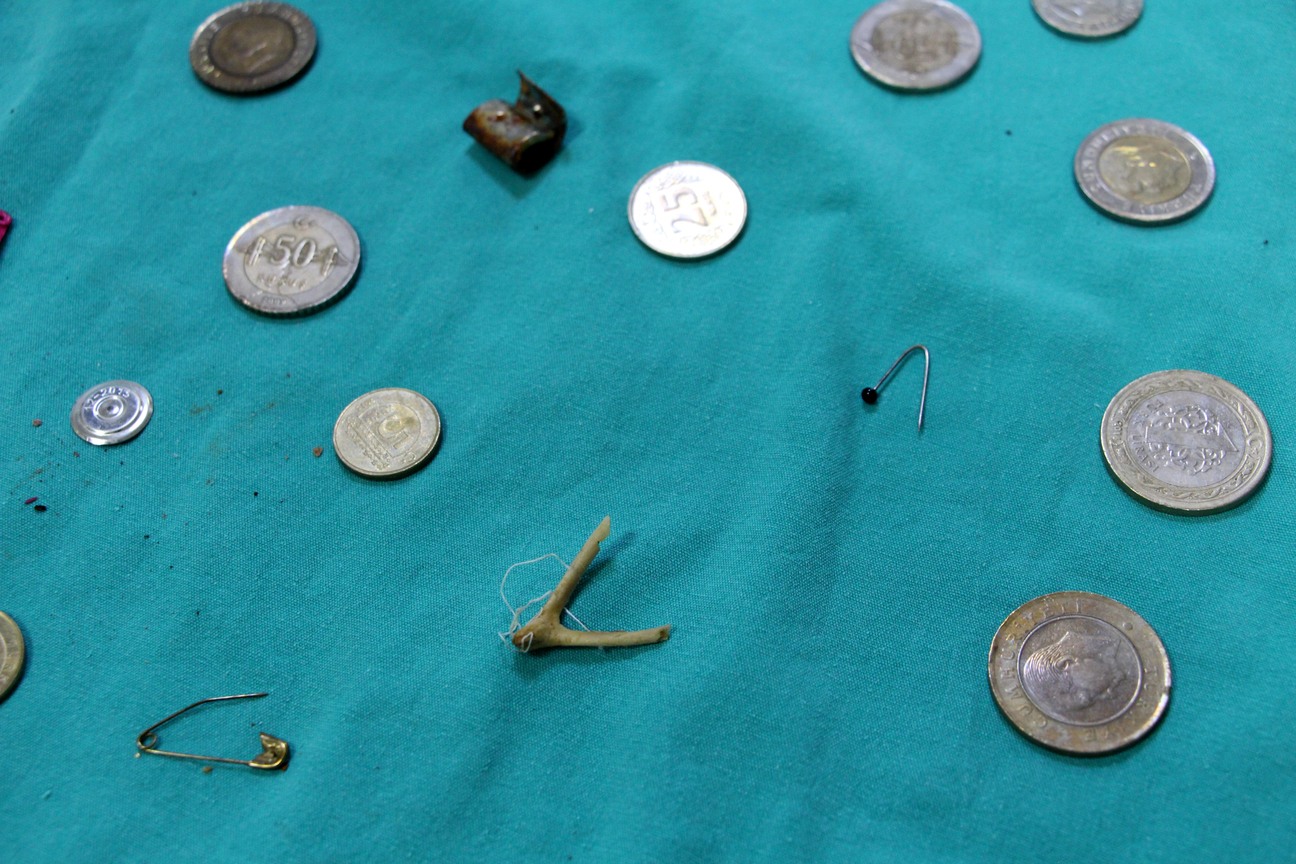 P R O F E S O R U N Y A N L I S L I K L A Y U T U L A N L A R K O L 811380 240259