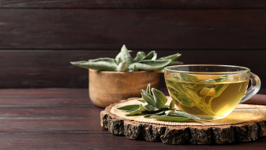 Tıbbi Aromatik (2)