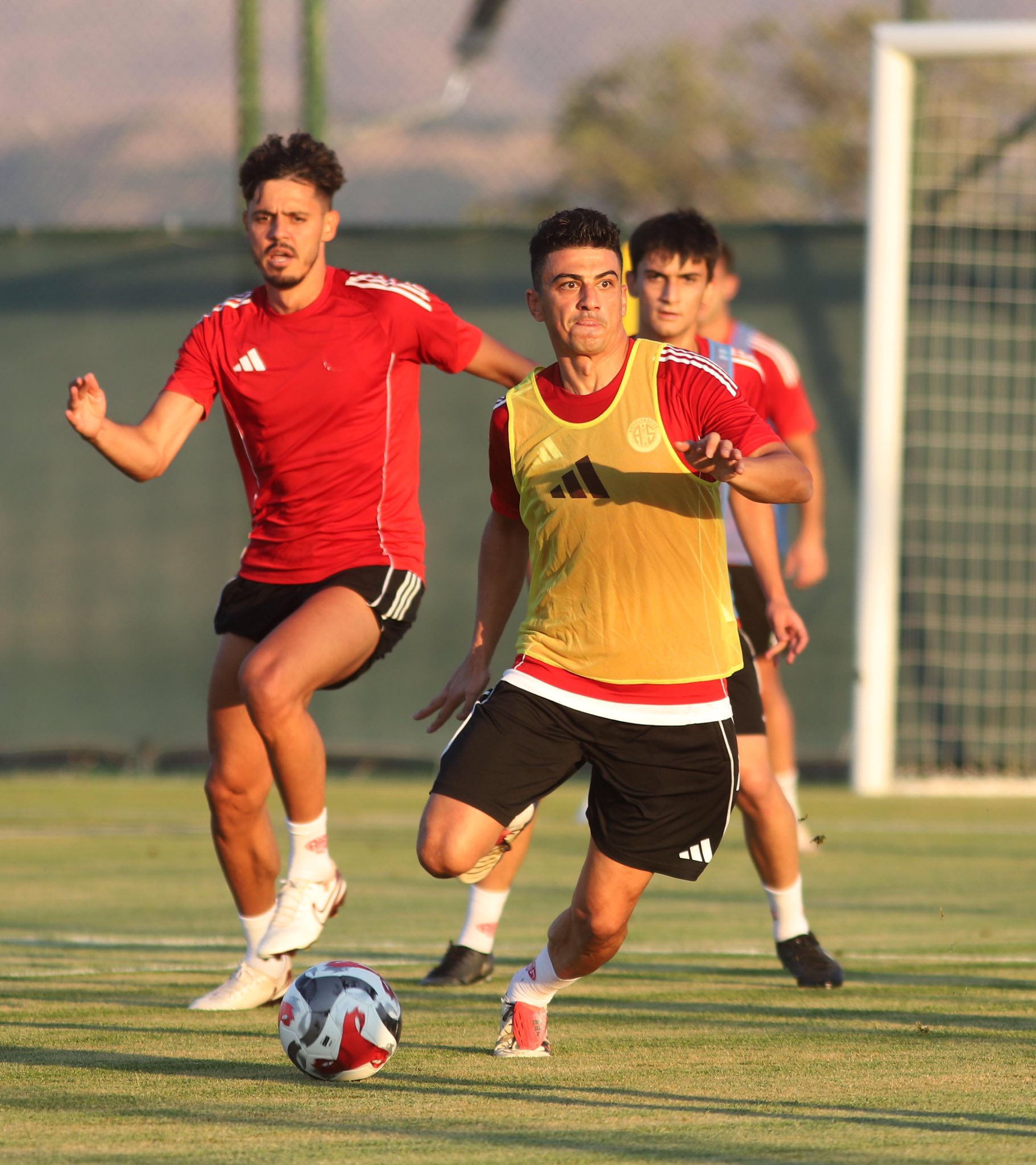 Transfer (3)
