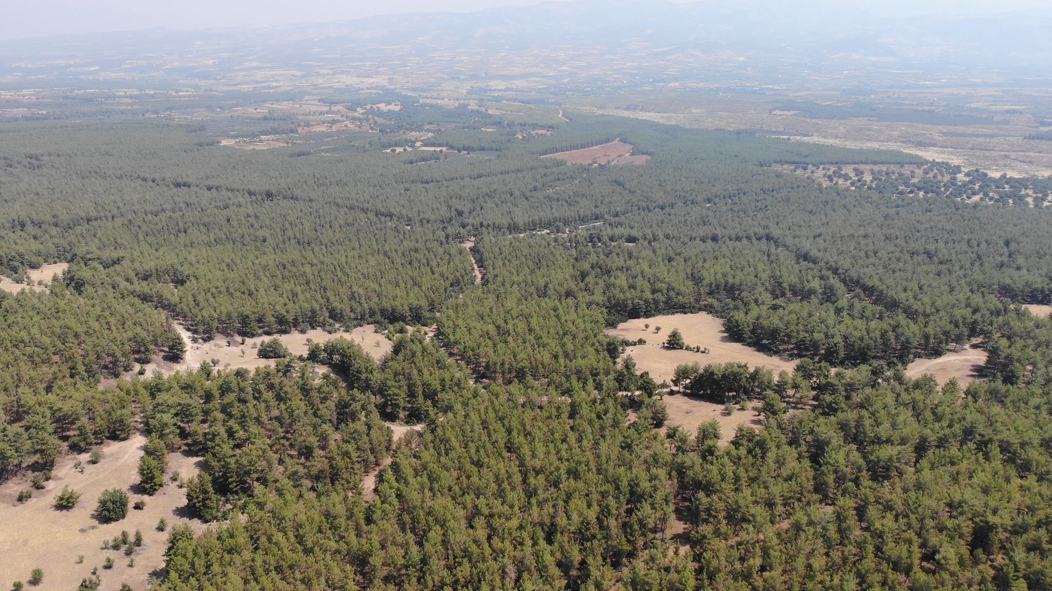 Yangın Yasağı (2)