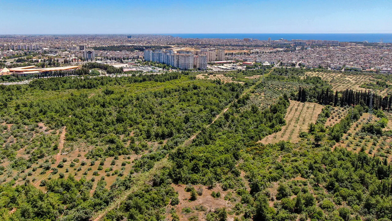 Zeytinpark Korunma Bakim