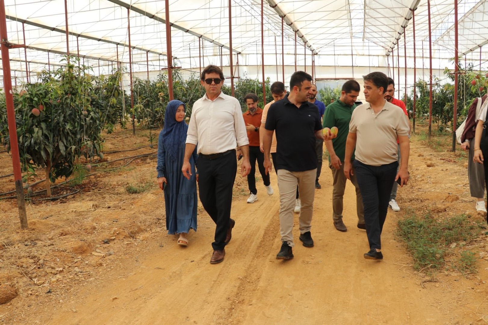 300 Dönümden Fazla Alanda Üretiliyor (1)