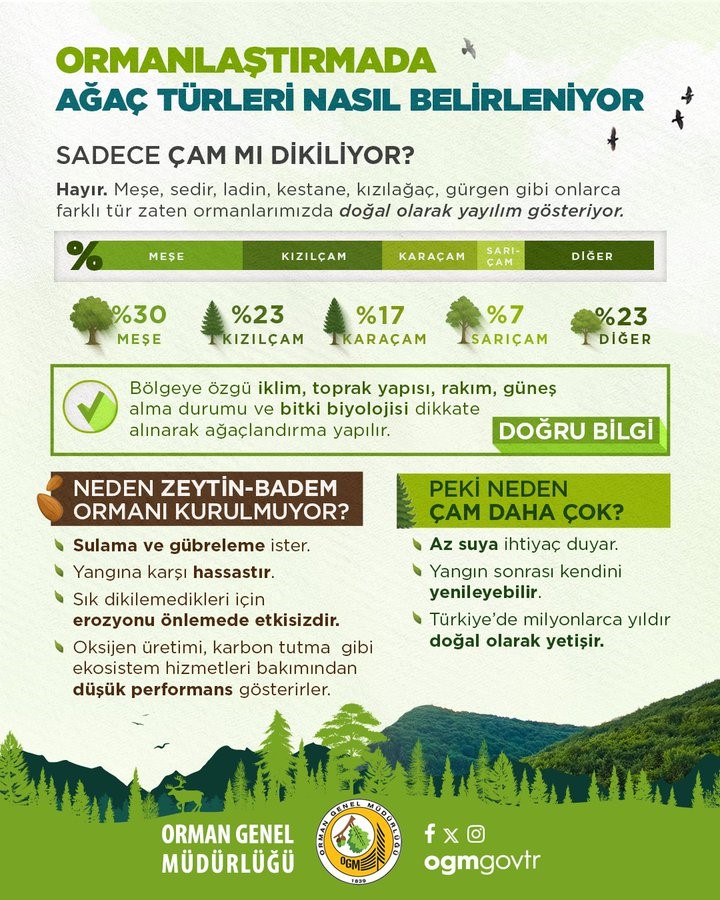 Agm Calisma