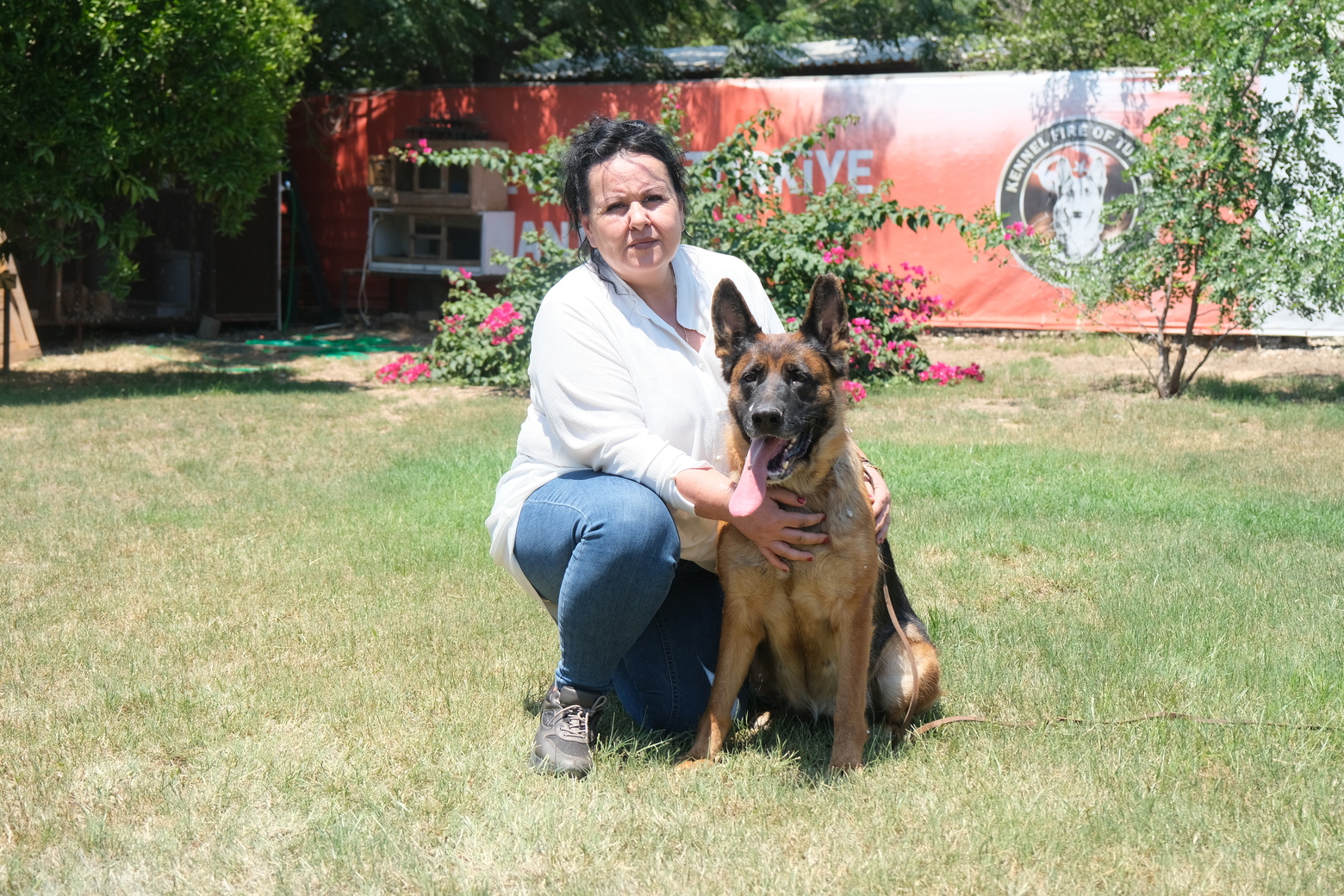 Alman Çoban Köpeği (5)