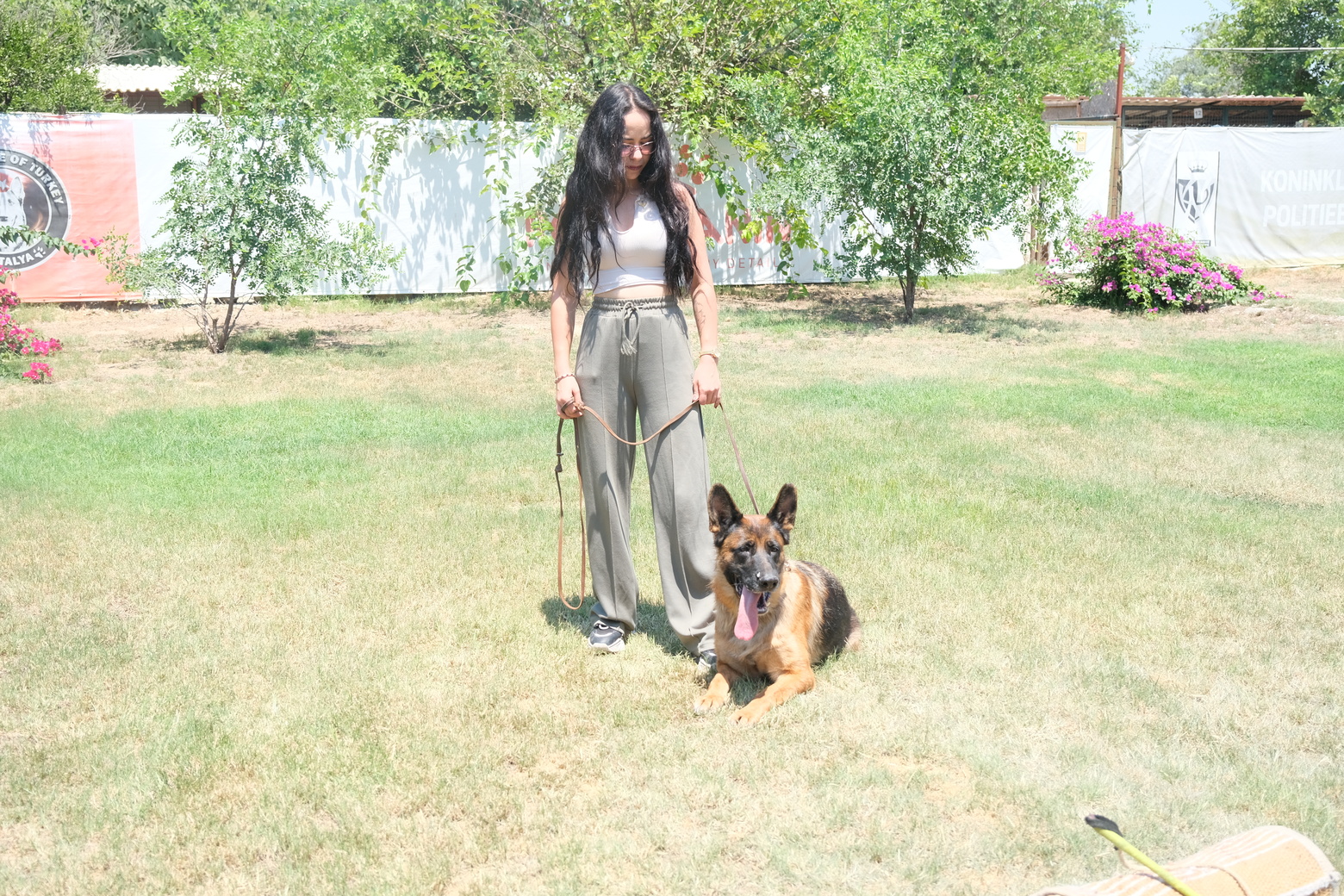 Alman Çoban Köpeği Eğitim-1