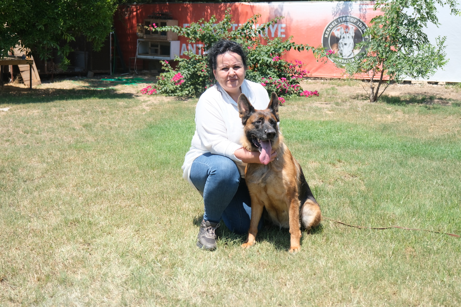 Alman Çoban Köpeği7 (2)