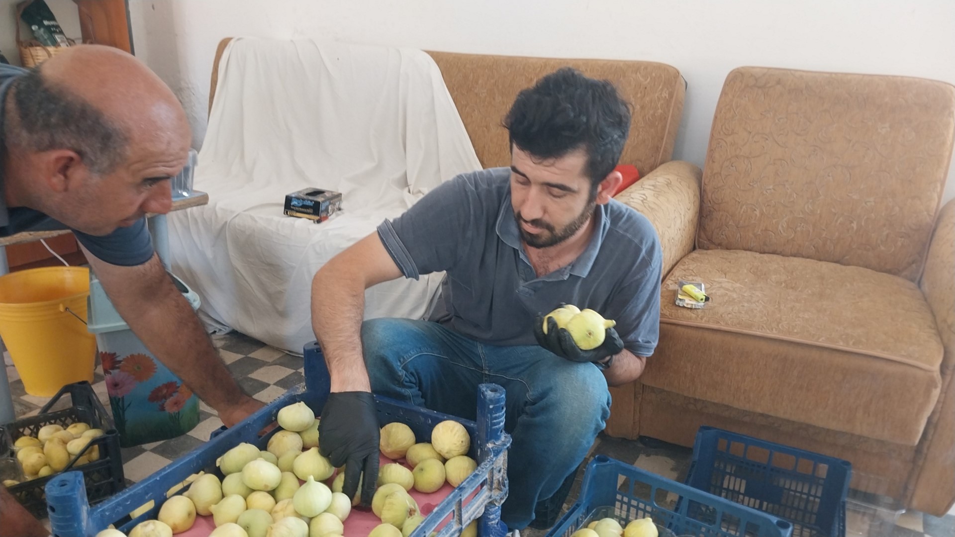 Altından Bal Damlayan Incir Üreticisinin Yüzü Güldü (4)