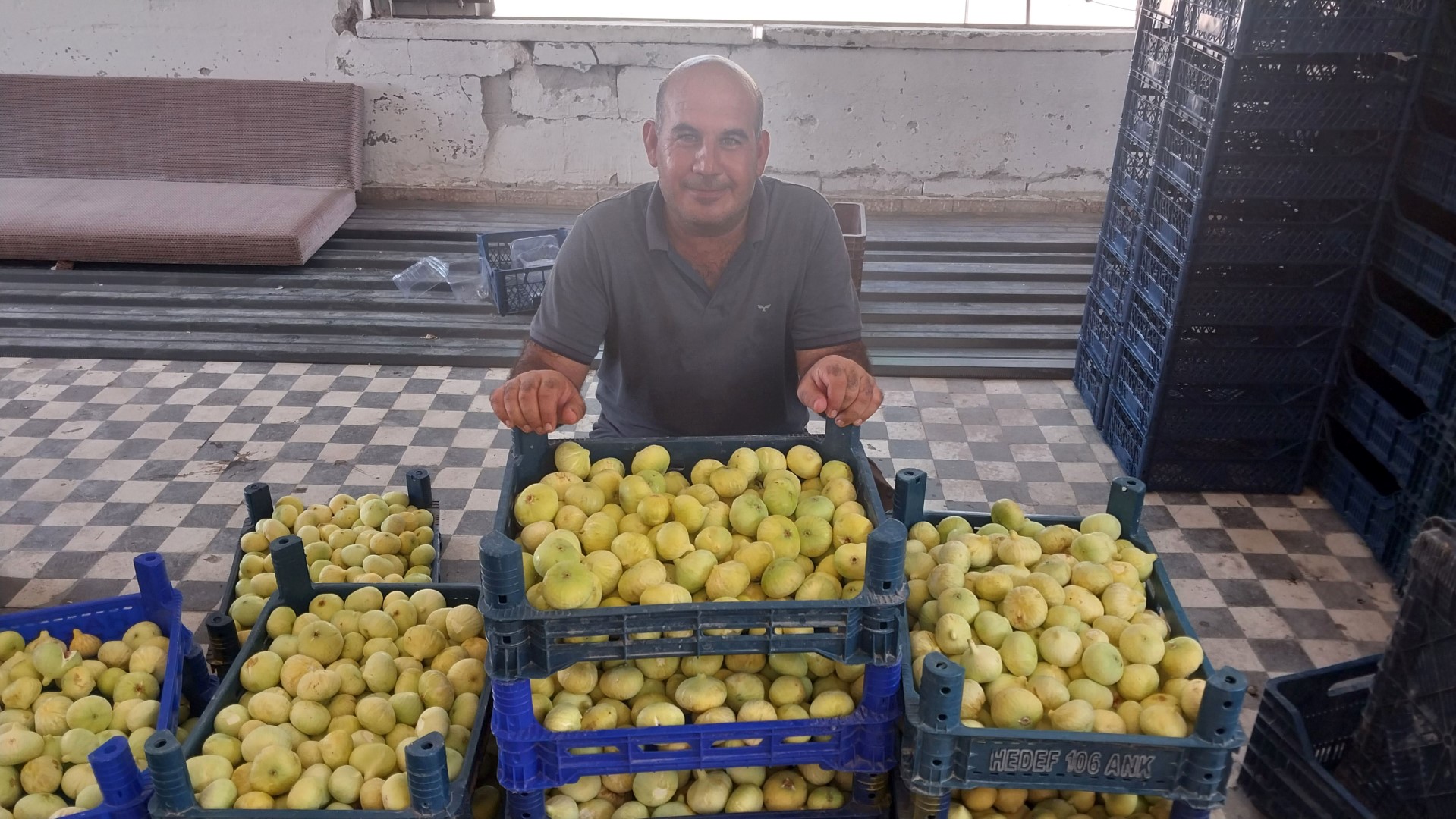 Altından Bal Damlayan Incir Üreticisinin Yüzü Güldü (5)