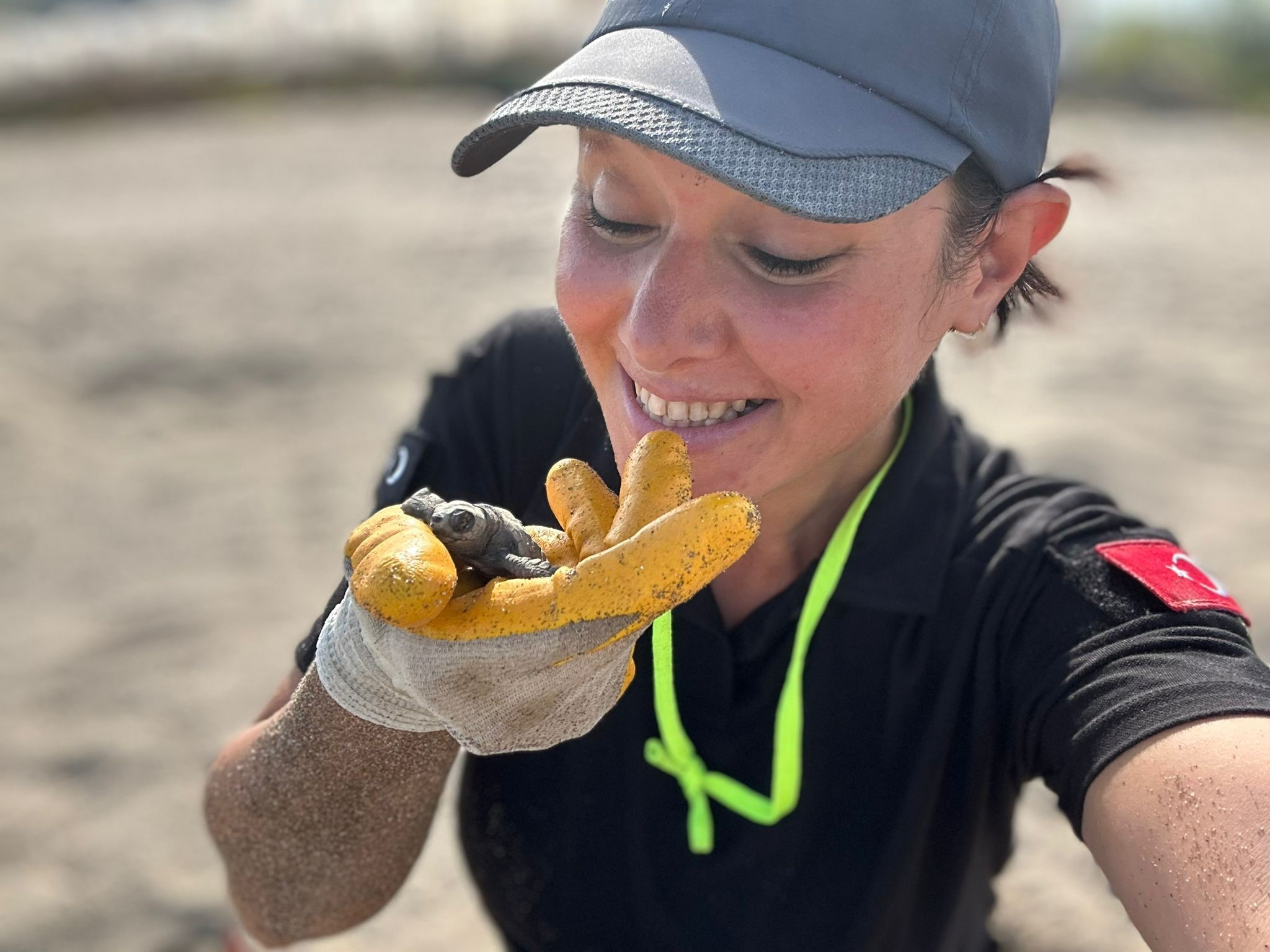 Antalya'da Yavru Caretta Carettaların Denizle Buluşması Için Nöbet Tutuluyor (5)
