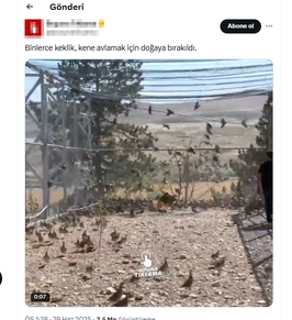 Asker Keklikler Iddiası Boş Çıktı! (5)