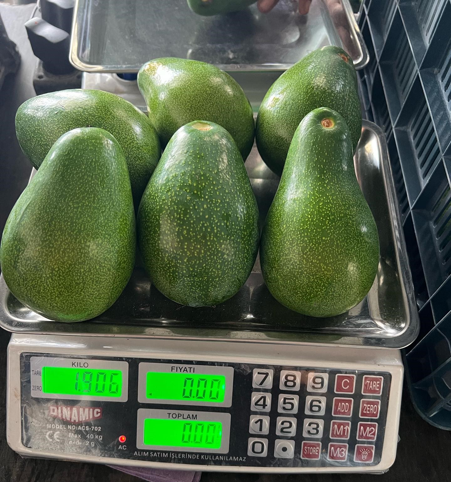 Avokado (3)-2
