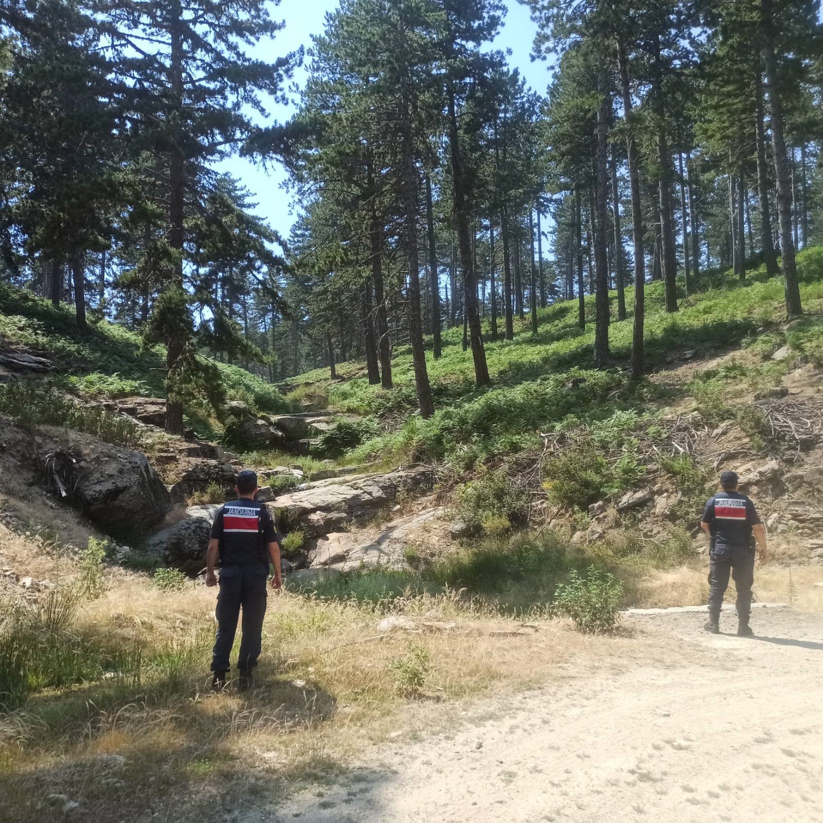 Aydın’da Ormanlar Için Kırmızı Alarm (1)