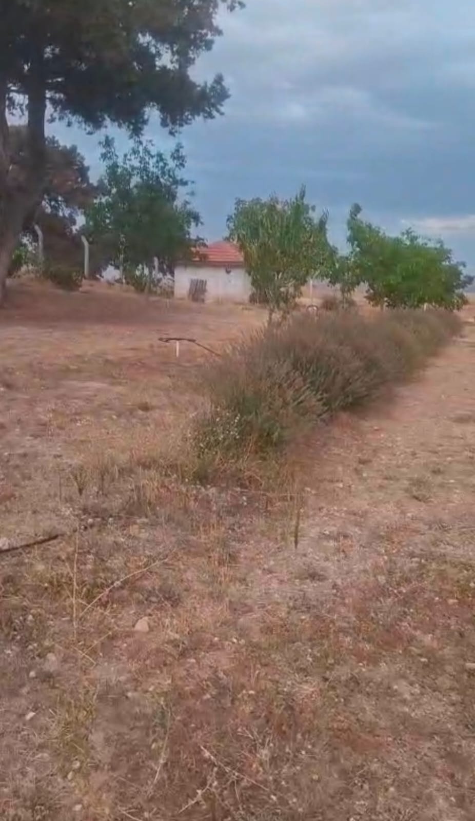 Bağımlılık Ile Mücadele Oteli