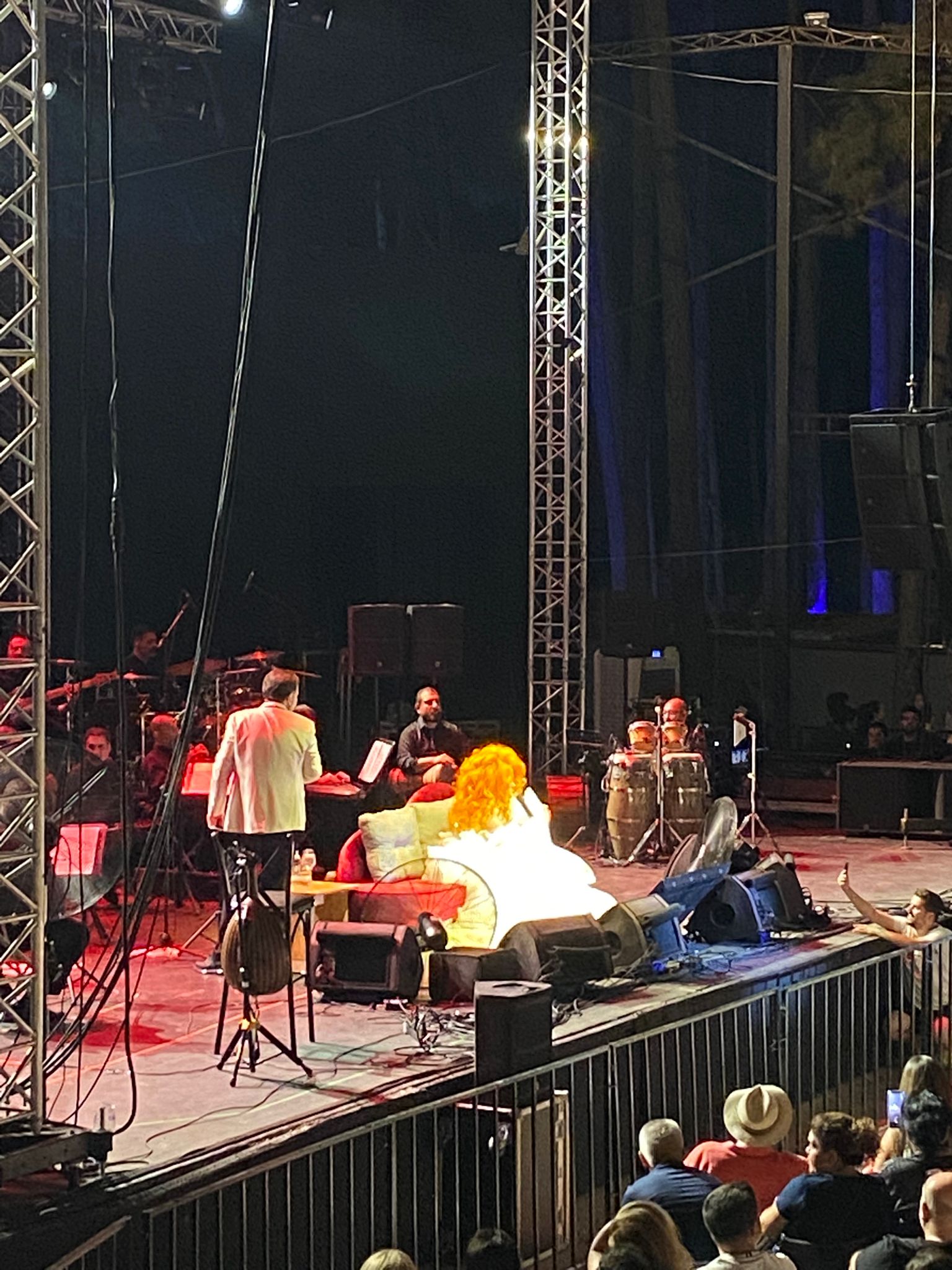 Bülent Ersoy-1