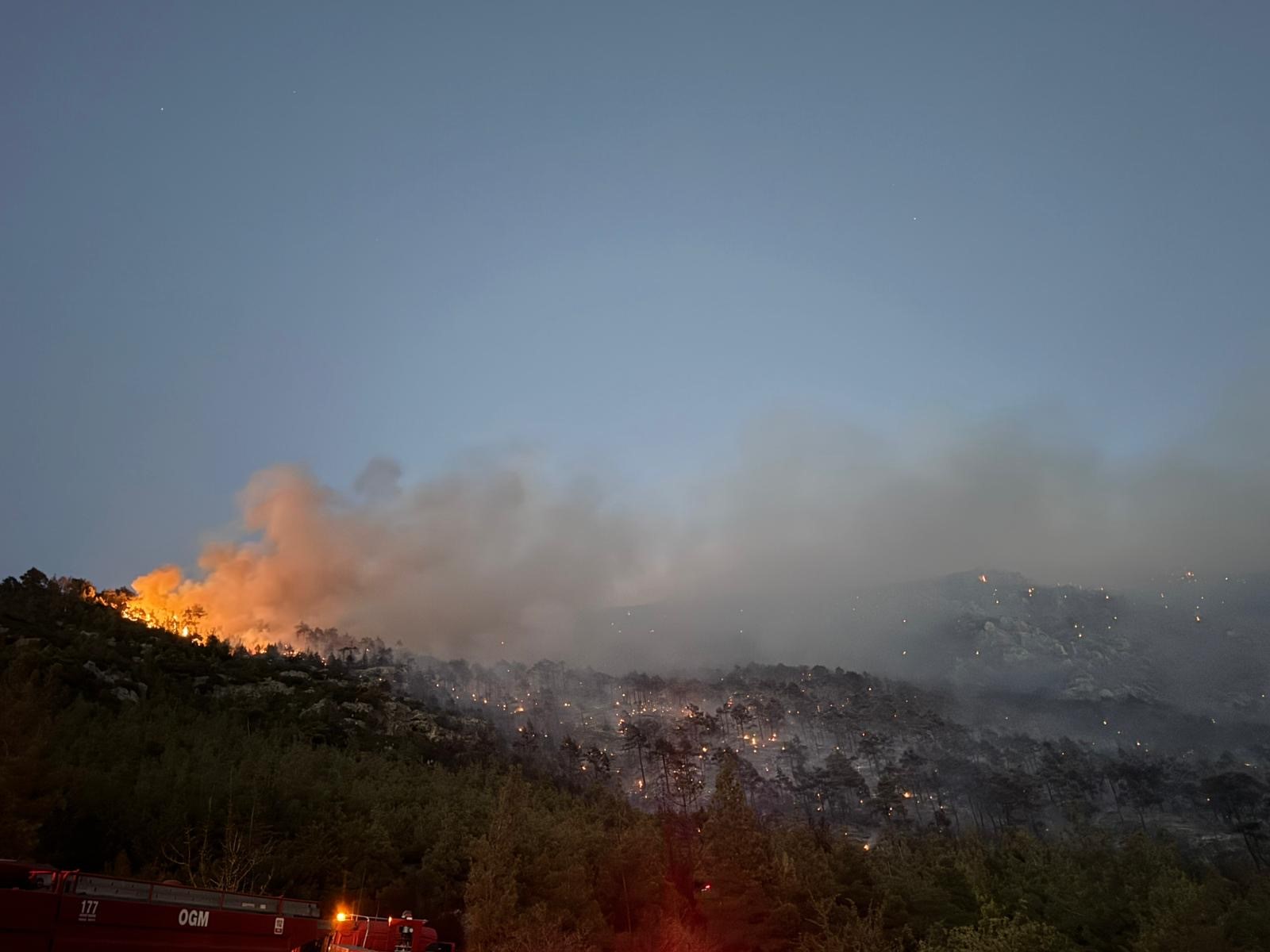 Denizli'deki Orman Yangını Kontrol Altına Alındı (2)
