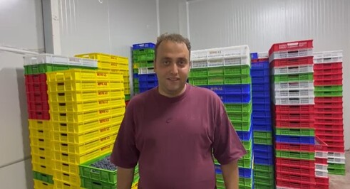 Elmalının Mavi Altını Yaban Mersini (3)