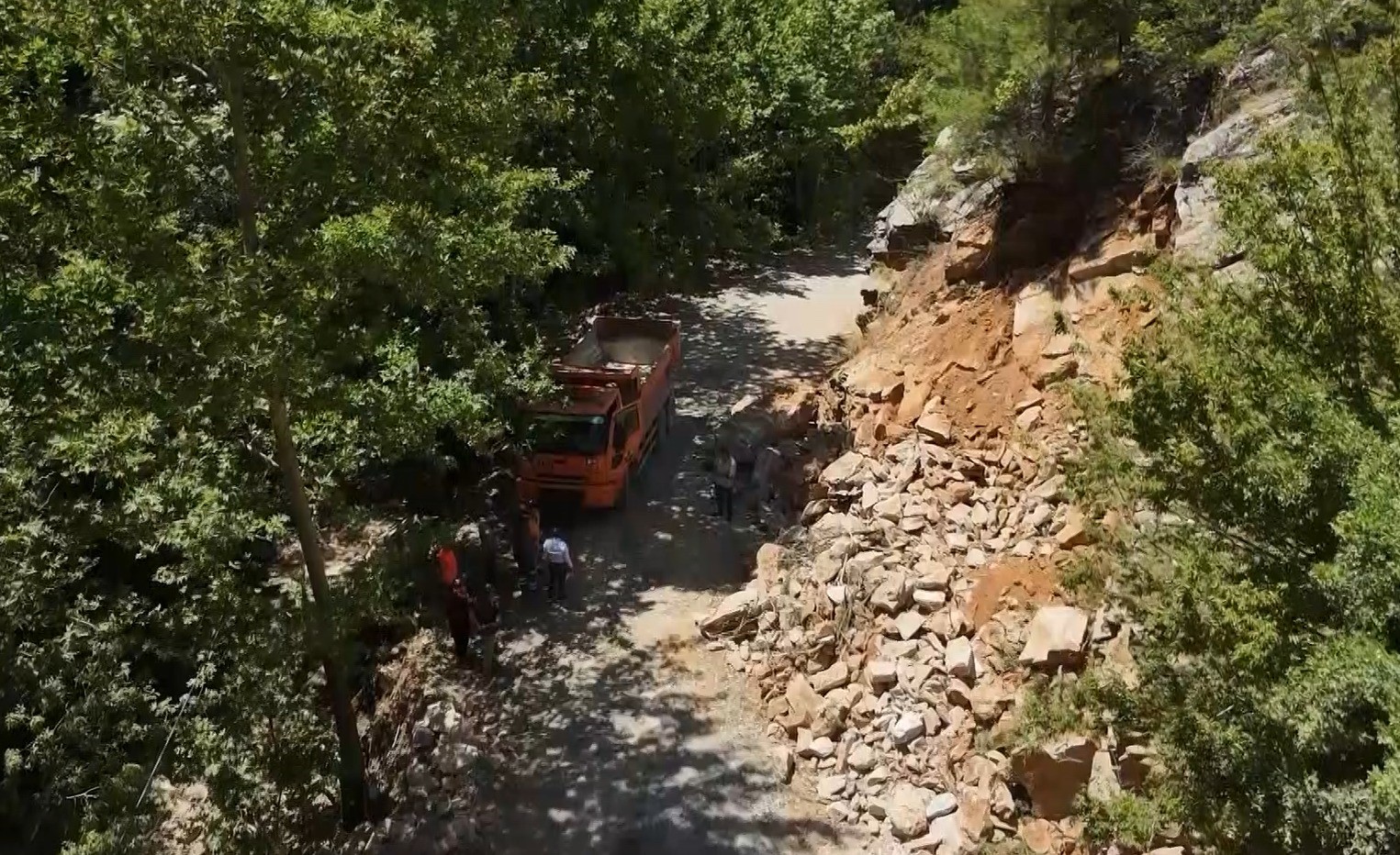 Feke'de 75 Yıl Sonra Genişletilen Yollar Ormanın Güzelliğini Ortaya Çıkardı (4)
