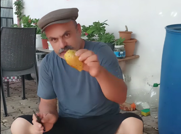 Frenk Yemişi 1
