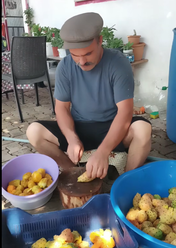 Frenk Yemişi 2