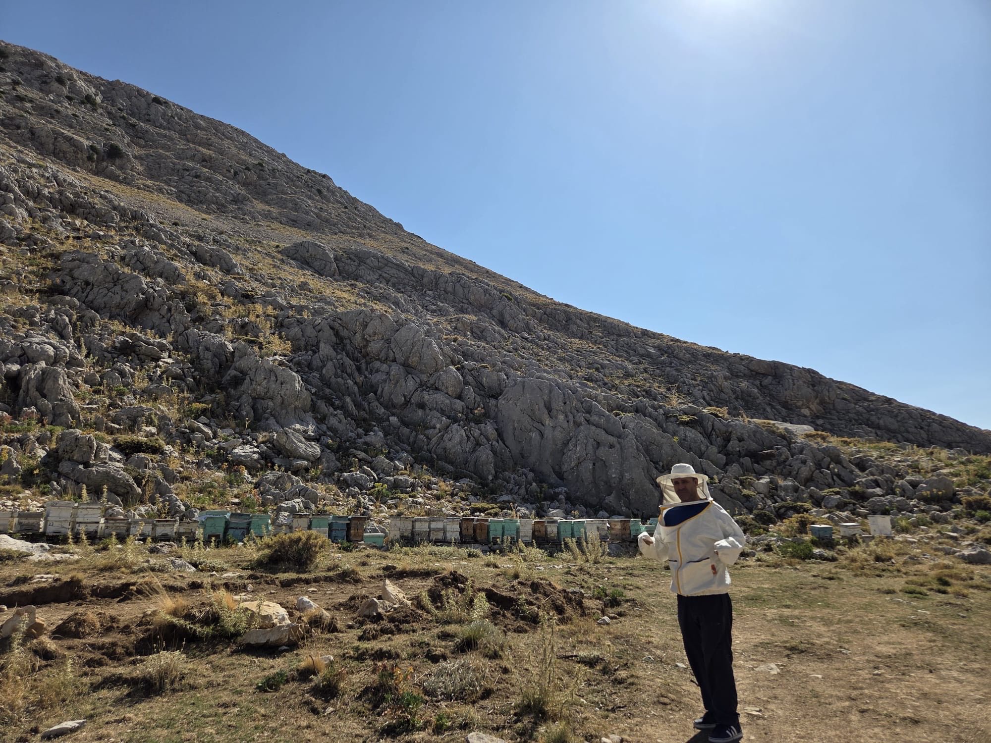Gündoğmuş Bal (2)