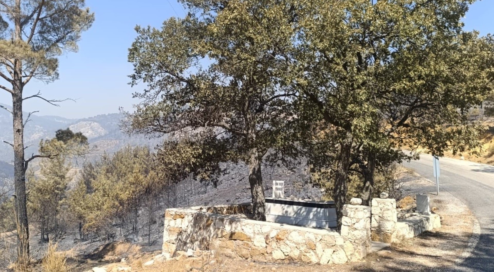 Işık Dedi (2)