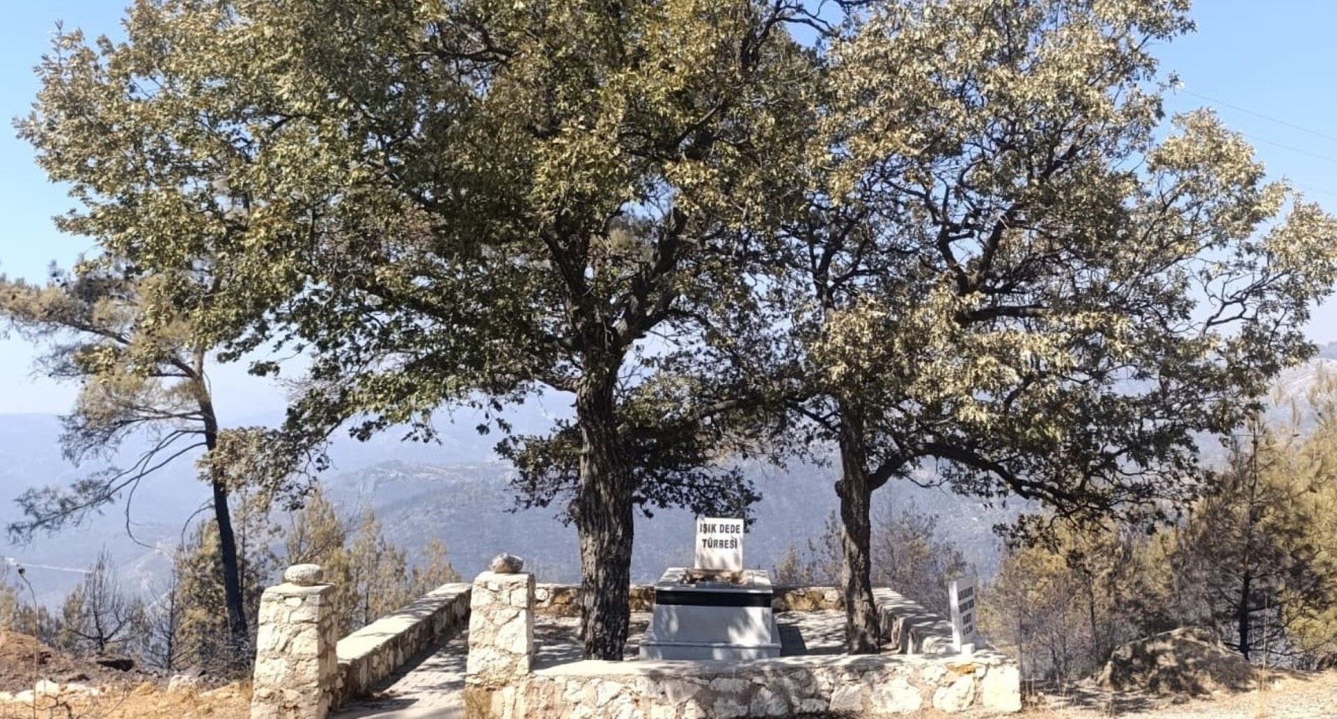 Işık Dedi (3)