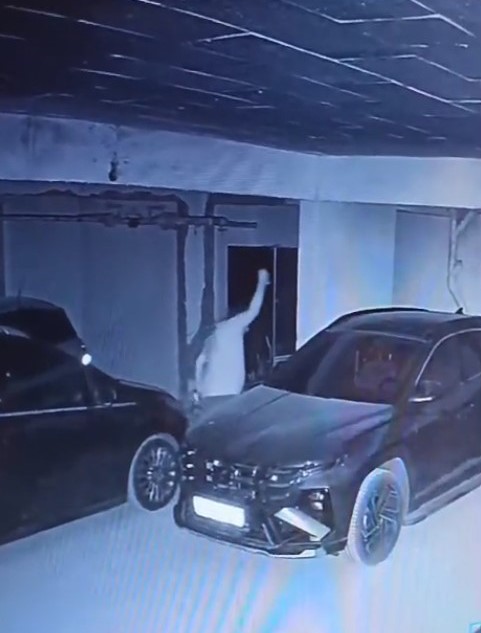 Isparta'da Sitenin Otoparkındaki Araçlara Zarar Veren Kişi Güvenlik Kamerasında (3)