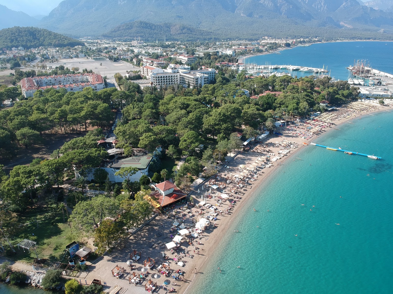 Kemer Ayışığı