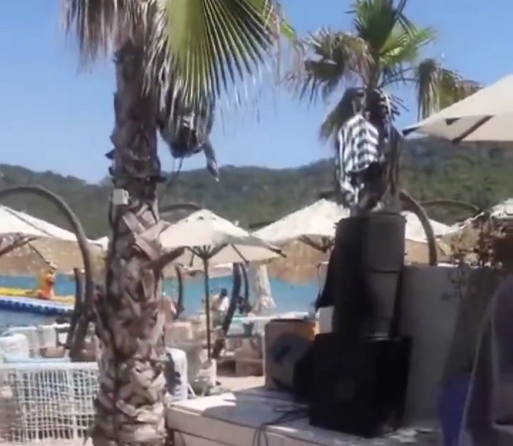 Kemer Ayşığıkoyu (1)
