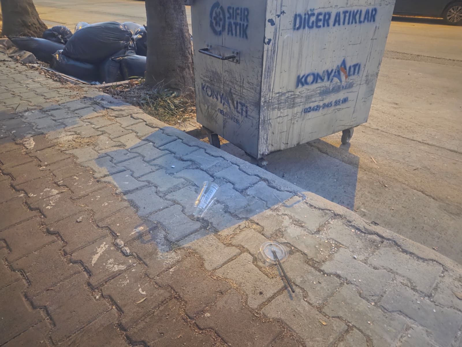 Konyaalt'nda Çöp Sorunu (4)
