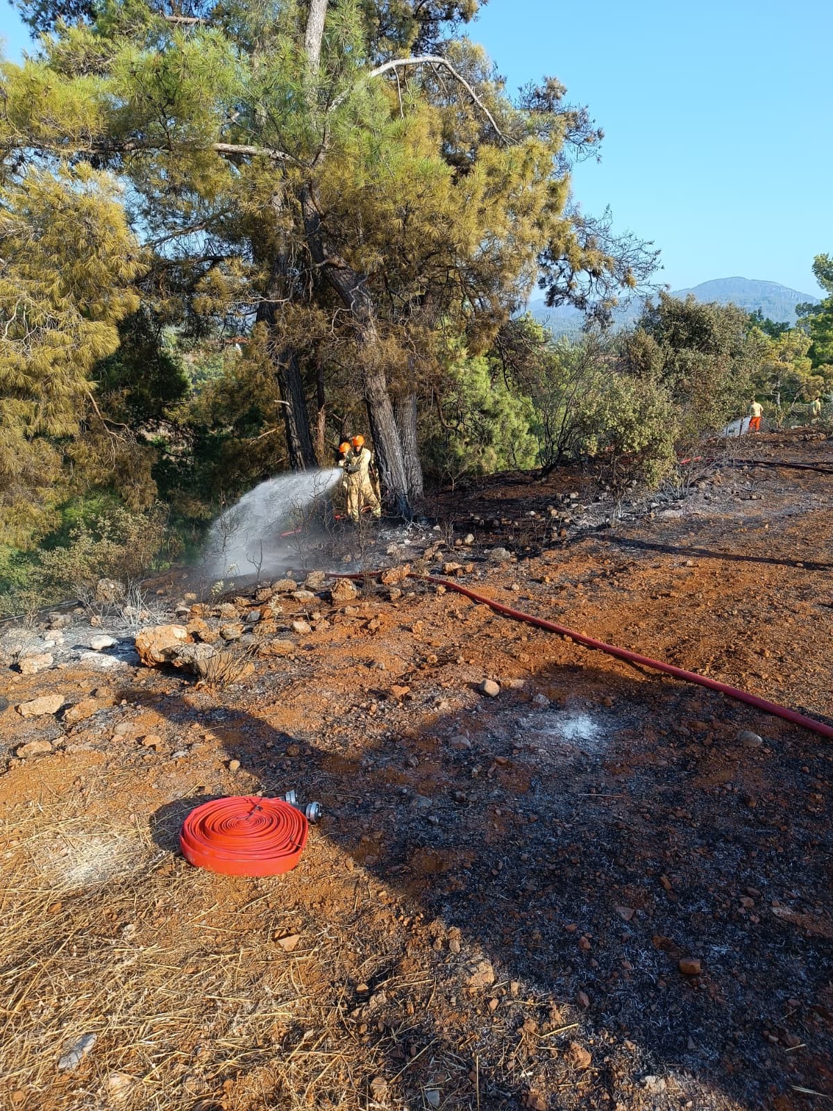 Koycegiz Kus Yangina Neden Oldu (1)