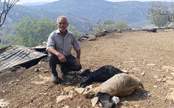 Mersin'de Orman Yangınında Evler Yandı, Hayvanlar Telef Oldu (5)